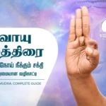வாயு முத்திரை: முழுமையான வழிகாட்டி